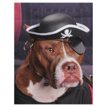 Me thinks I'm a Pirate! Personalized Flyer