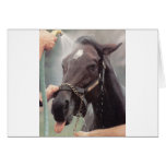 Me Too! Greeting Cards