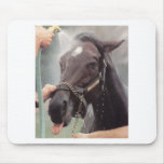 Me Too! Mousepad