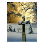 "Mea Culpa" by Conrad Mieschke Post Card