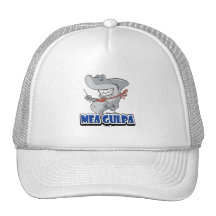 Mea Gulpa... Mesh Hat