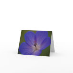 Meadow Crane's-Bill Note Card