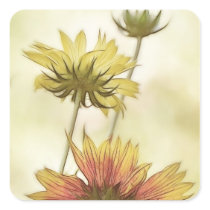 Meadow Fantasy - Gaillardia Square Sticker