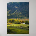 Meadow in Unaweep Canyon posters