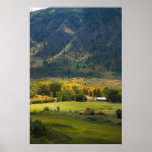 Meadow in Unaweep Canyon Posters