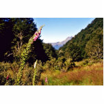 Meadow, Nelson Lakes National Park Photo Cut Outs