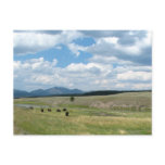 Meadow of Bison postcards