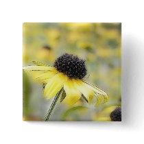 Meadow of Black Eyed Susans Pinback Buttons