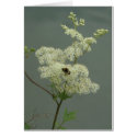 Meadow queen cards
