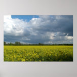 meadow scene posters
