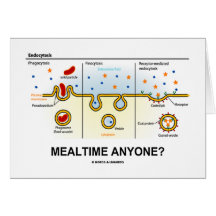 Mealtime Anyone? (Endocytosis Digestion Humour) Card