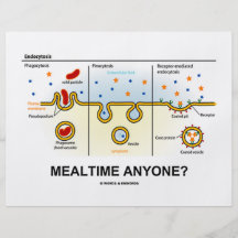 Mealtime Anyone? (Endocytosis Digestion Humour) Personalised Flyer