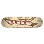 Meat Board Mobber Skateboards