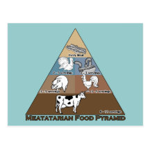 Meatatarian Food Pyramid Post Cards