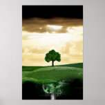 mechanical root posters
