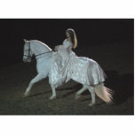 Mediaeval Fantasy - photo sculpture