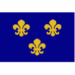 Mediaeval France, France flag photo sculptures