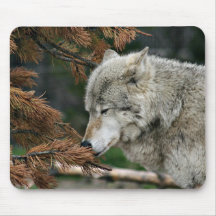 Meditating wolf mouse mat