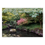 Meditation cards