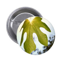 Mediterranean Fig Leaf Buttons