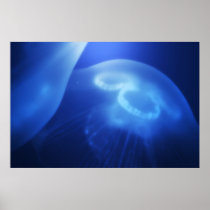 Medusa 1 print