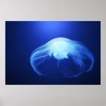 Medusa 2 posters