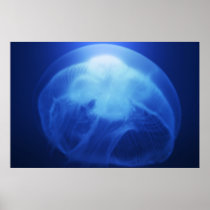 Medusa 3 poster