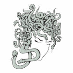 medusa snake lady vector illustration photo sculptures