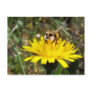 Meerbee