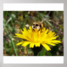 Meerbee poster