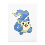 Meerca Blue postcards