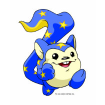 Meerca Starry t-shirts