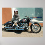 Meerhorse biker poster