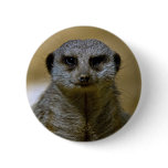 Meerkat  9247 buttons