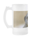 Meerkat  9247 mugs