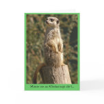 Meerkat Alert Card