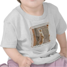 Meerkat at Attention Baby T-Shirt