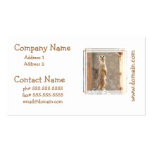 Meerkat at Attention Business Cards