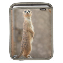 Meerkat at Attention iPad Sleeve
