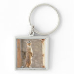 Meerkat at Attention Keychain