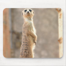 Meerkat at Attention Mouse Pad