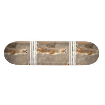 Meerkat at Attention Skateboard