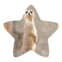 Meerkat at Attention Stickers