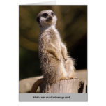 Meerkat Attenborough Alert Card