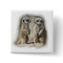 Meerkat baby twins pinback buttons