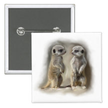 Meerkat baby twins pinback buttons