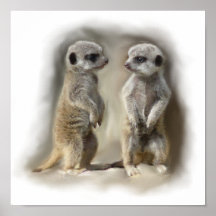 Meerkat baby twins print