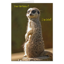Meerkat Belated Birthday Card