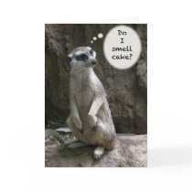 Meerkat Birthday card