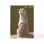 Meerkat Birthday Card -How old?